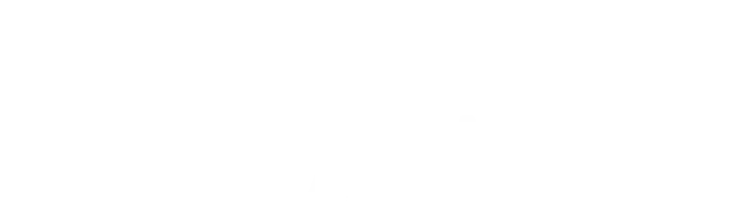 ally 666x198