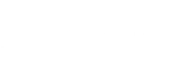 american state