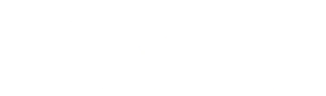 citibank 666x198