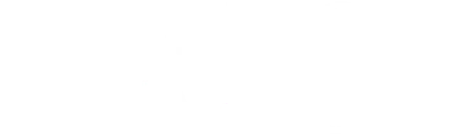 wells fargo 666x198